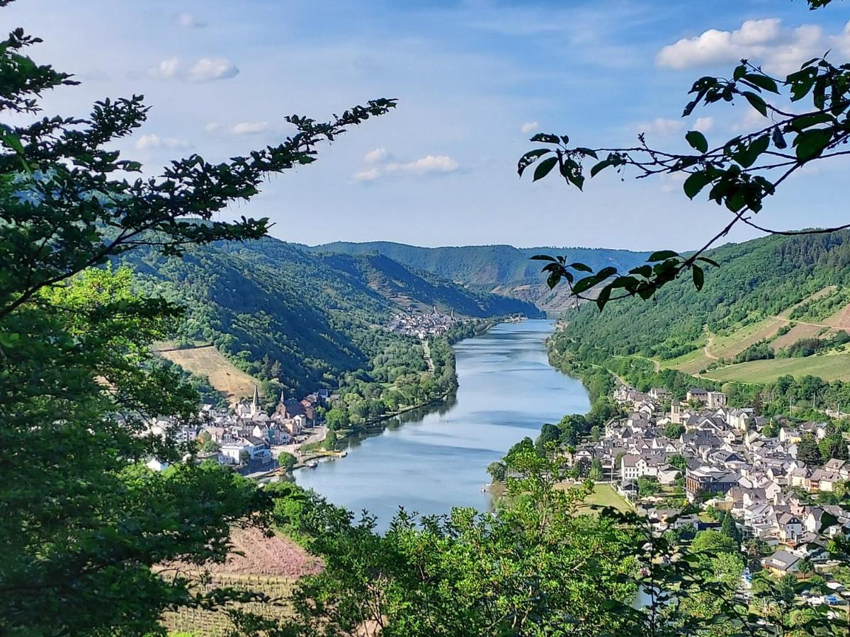 Ferienhaus Zum Prinzenkopf Alf Zewnętrze zdjęcie